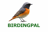 BirdingPal